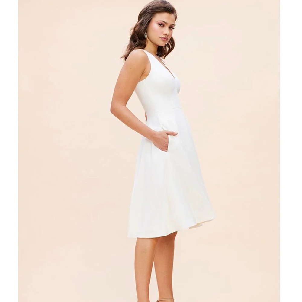 Dress the Population Fit and Flare White Dress